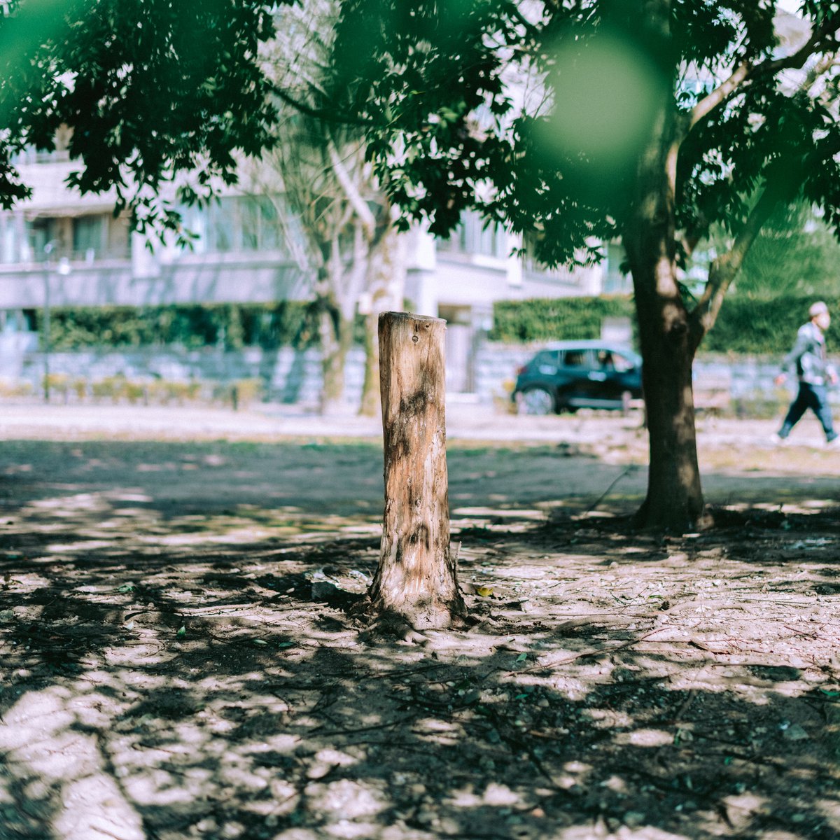 modulelab0's tweet image. #photography #散歩 #GFX