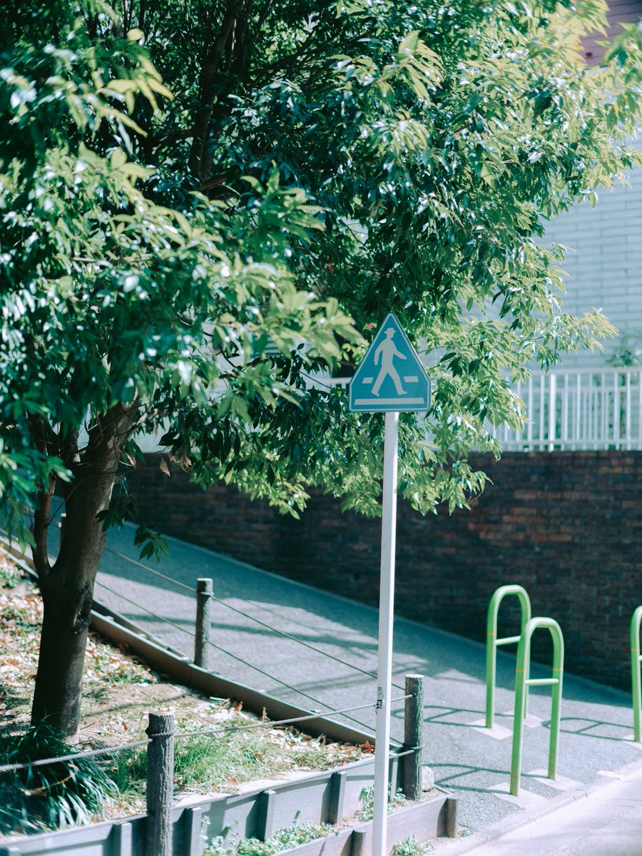 modulelab0's tweet image. #photography #散歩 #GFX