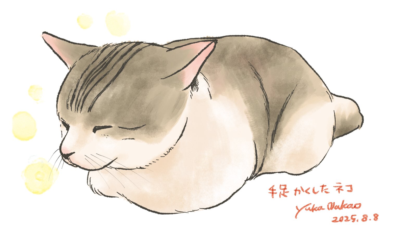 YUKARI 猫イラスト Yukari (@yukari224_illustration) • Instagram photos and videos