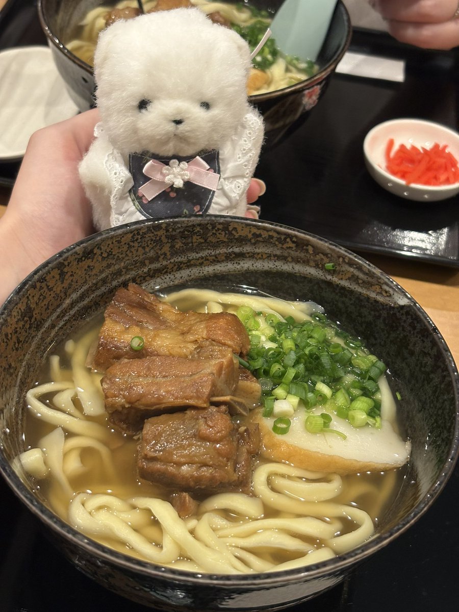 飼い主、夏休み開幕🌻