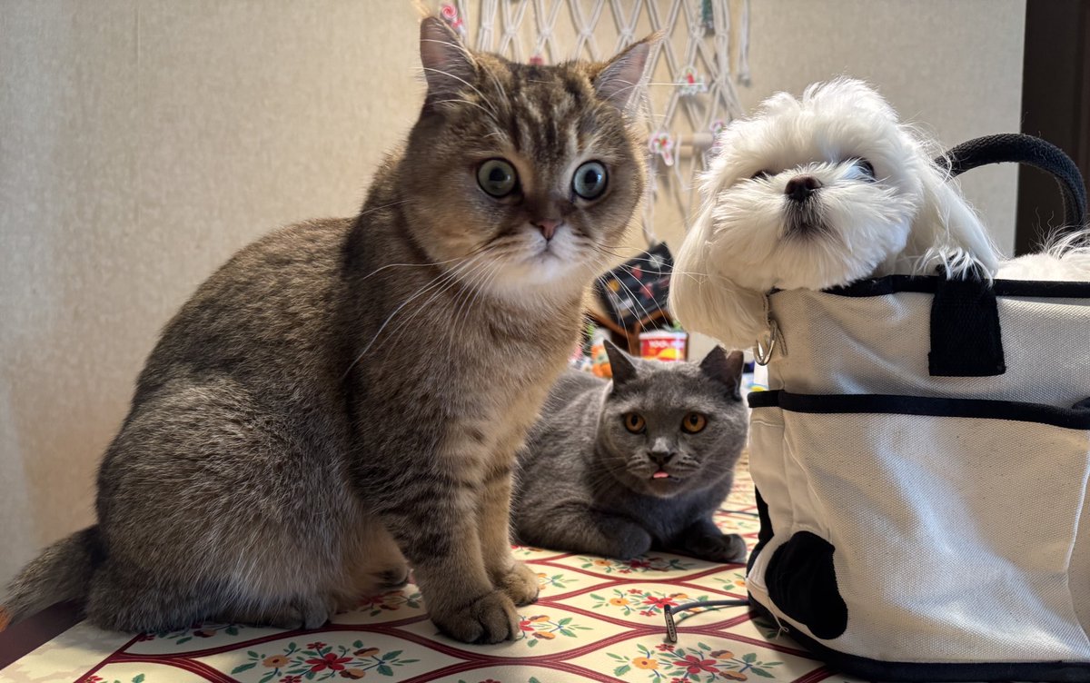 Last day. 离开了工作近 3 年的公司，结束了早晨 10:00 下午 3:30 的工作生活，虽然有不舍，但还是打算全职独立开发 🚀
既期待又忐忑。