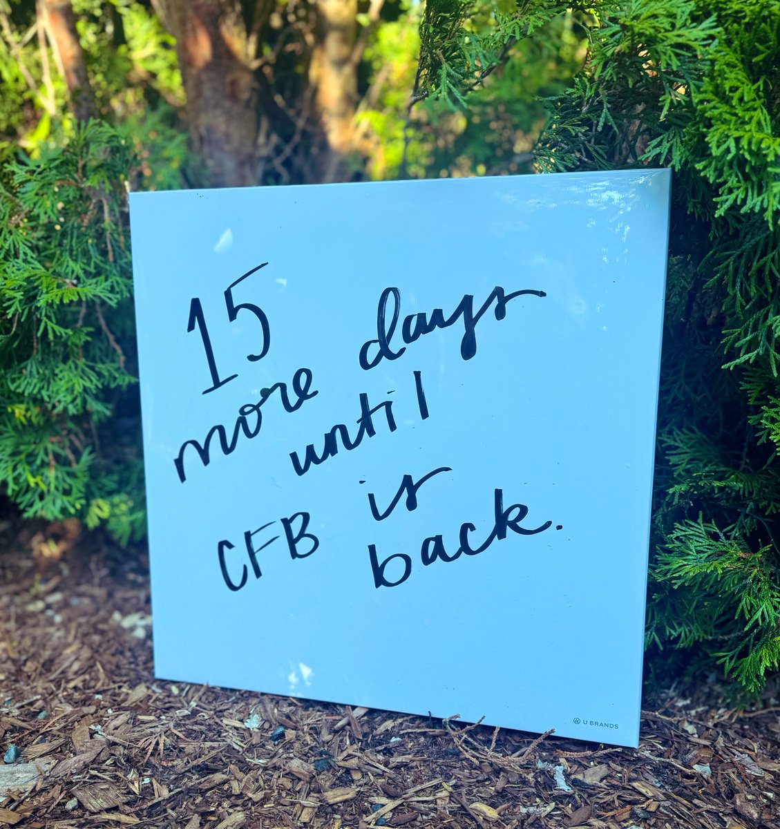 Just your daily reminder ☀️