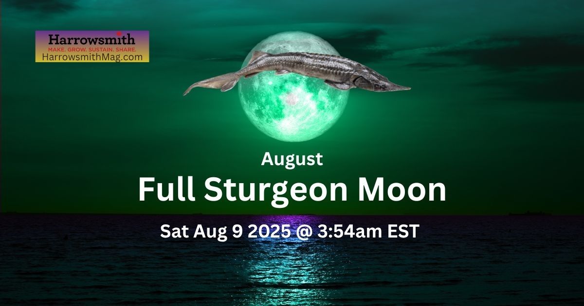 August Sturgeon Full Moon
Sat, Aug 9th 2025 at 3:54am EDT
By Robert Dick
harrowsmithmag.com/54135/august-s…

#fullmoon #AugSturgeonMoon #Aug2025