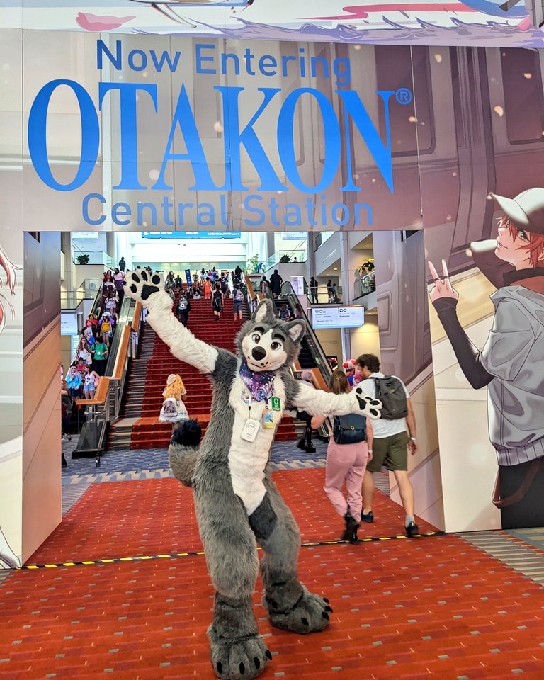 CoastHusky 🔜 AO | AC tweet media