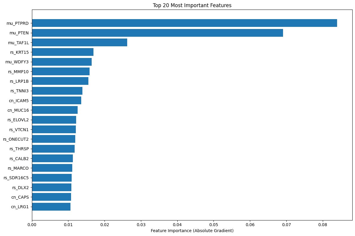 A GNN project to classify BRCA patient survival using multi-omics data (RNA-seq, CNV, mutations, proteins).

github.com/ayyucedemirbas…