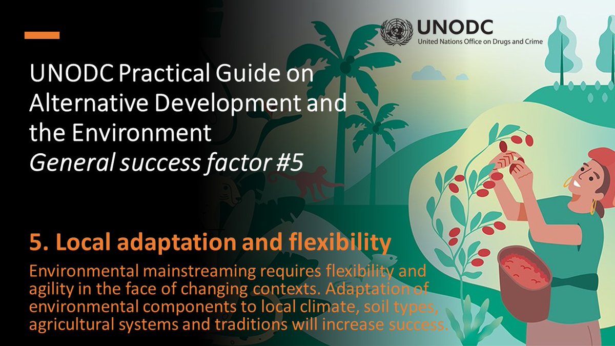 UNODC Alternative and Sustainable Livelihoods (@unodc_ad) on Twitter photo General success factor #5 from our <a href="/UNODC/">UN Office on Drugs & Crime</a> Practical Guide on #AlternativeDevelopment and the #Environment: Any environmental components of projects require #flexibility and #adaptation to (changing) local conditions: unodc.org/unodc/en/alter… General success factor #5 from our <a href="/UNODC/">UN Office on Drugs & Crime</a> Practical Guide on #AlternativeDevelopment and the #Environment: Any environmental components of projects require #flexibility and #adaptation to (changing) local conditions: unodc.org/unodc/en/alter…