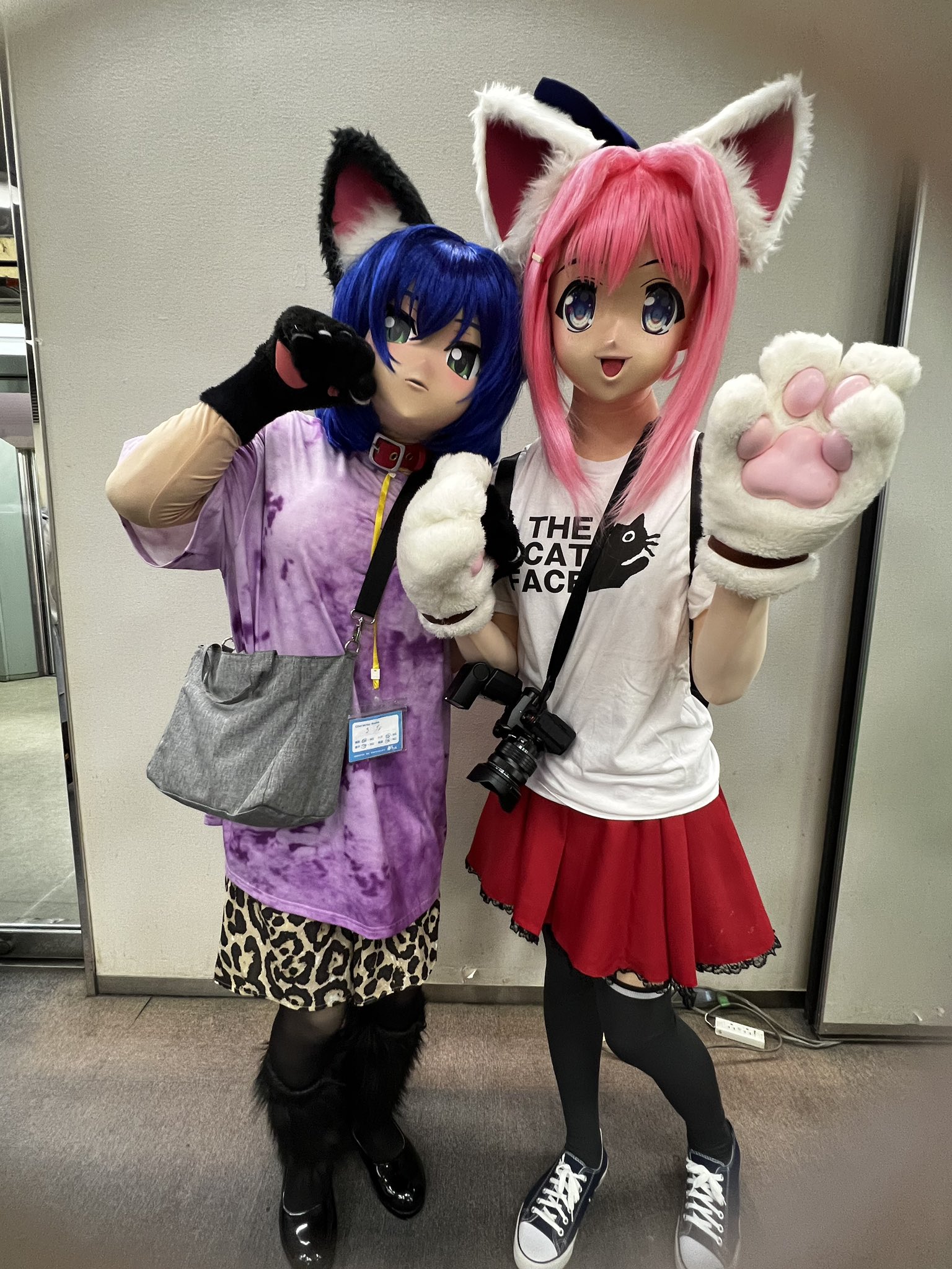 うさネコ様 うさこ on X: 