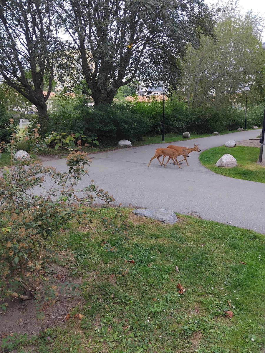 Hans (@hans1790591288) on Twitter photo 