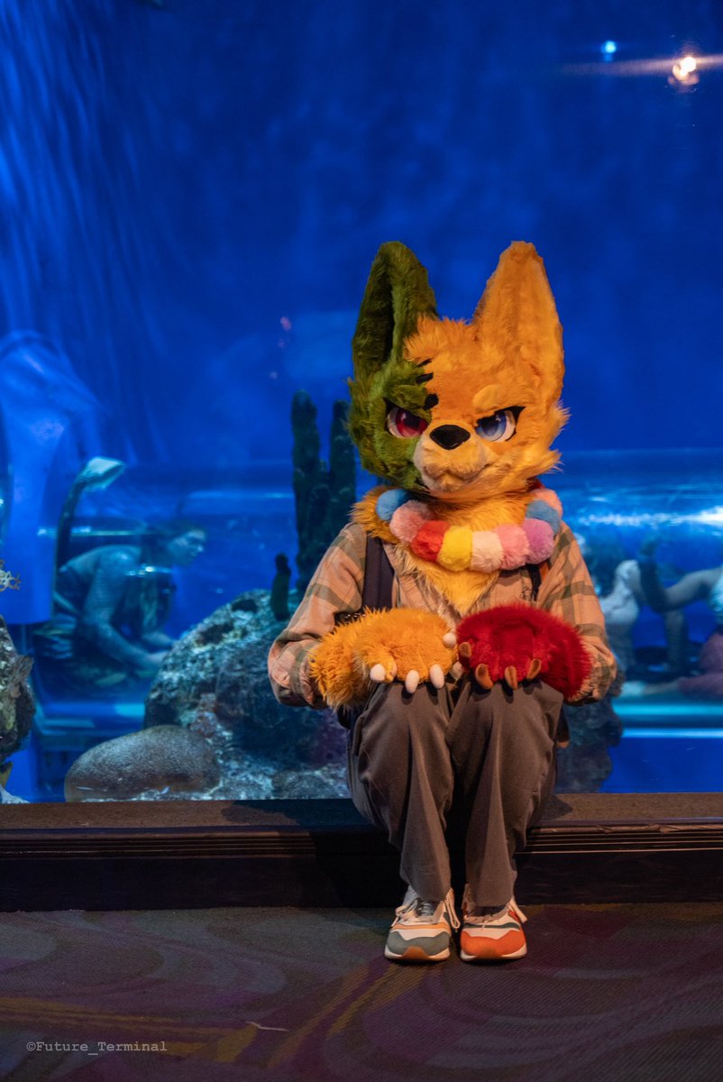 Jarry, good boy ver. 📸 🔜 AC (@js_latelier) on Twitter photo Me? Just sitting.
No plan. No mischief. No chaos brewing behind these paws.
Just a totally innocent little creature,
admiring the fish.
Definitely not casing the joint.
Promise. 🐾✨🫧
📸 <a href="/Future_Terminal/">Future_Terminal 🔜 MP</a>
#FursuitFriday Me? Just sitting.
No plan. No mischief. No chaos brewing behind these paws.
Just a totally innocent little creature,
admiring the fish.
Definitely not casing the joint.
Promise. 🐾✨🫧
📸 <a href="/Future_Terminal/">Future_Terminal 🔜 MP</a>
#FursuitFriday