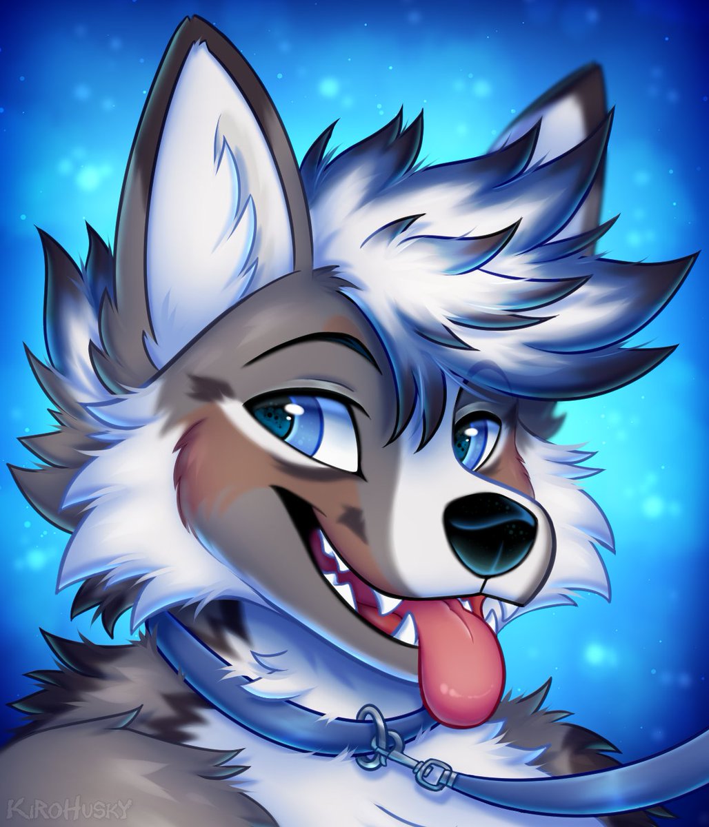wuff 💙