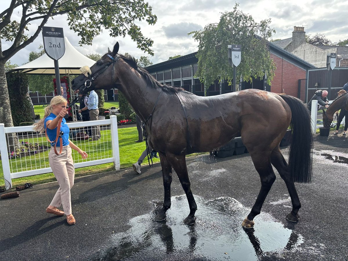 Coral Racing Club (@crcofficial) on Twitter photo Pop Star looking very proud of himself after a 🥈 at Musselburgh!
Prize money for all of our owners for the day! 🤑
Well done to team <a href="/ahaynesracing/">Alice Haynes Racing</a> & <a href="/HollieDoyle1/">Hollie Doyle</a> 👏 Pop Star looking very proud of himself after a 🥈 at Musselburgh!
Prize money for all of our owners for the day! 🤑
Well done to team <a href="/ahaynesracing/">Alice Haynes Racing</a> & <a href="/HollieDoyle1/">Hollie Doyle</a> 👏