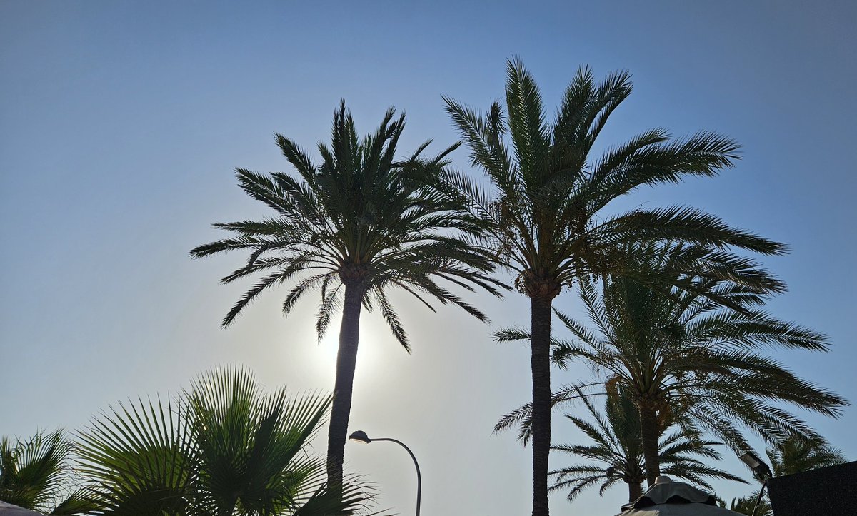 Bye bye #Mallorca see you next summer 🍹😎
