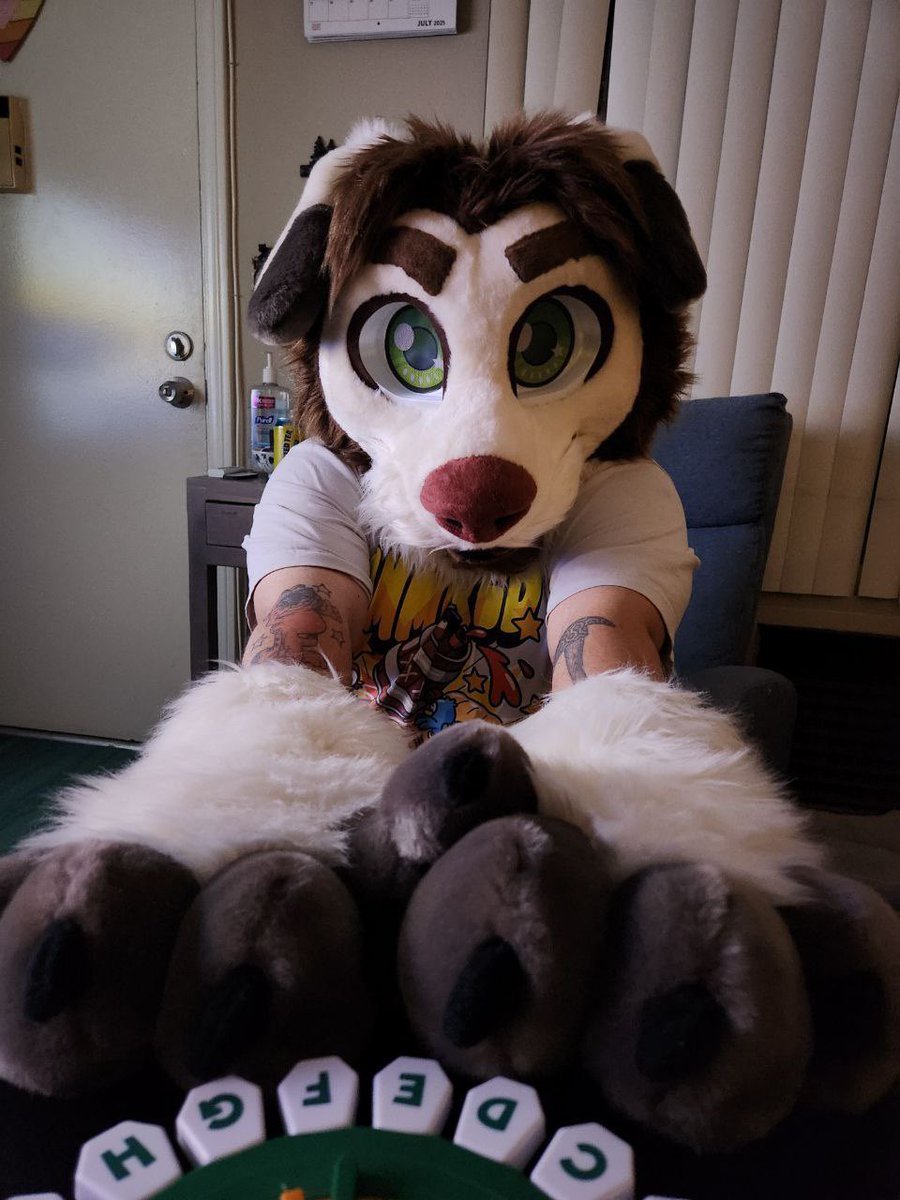 Happy #FursuitFriday !! It’s game night! 🐾✨🎲

📸: <a href="/ElixirCorgiBear/">Elixir Corgi Bear</a>