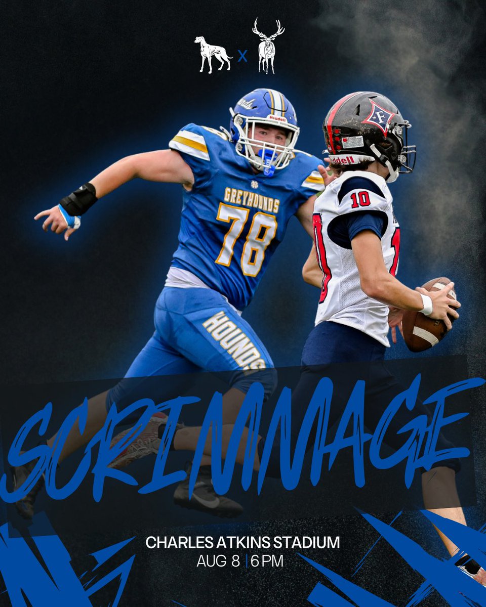 🐶’s are back in action‼️