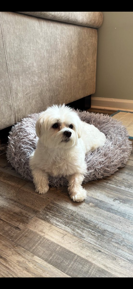 Hi 👋 it’s me Hayden! Good afternoon and Happy Friday!❤️ It’s our last day here🏝️😕…and we had fun! Wishing everyone a beautiful Friday!🩷 #Hayden🤍 #MyBug🌸💕🏖️🌻✌️🥰