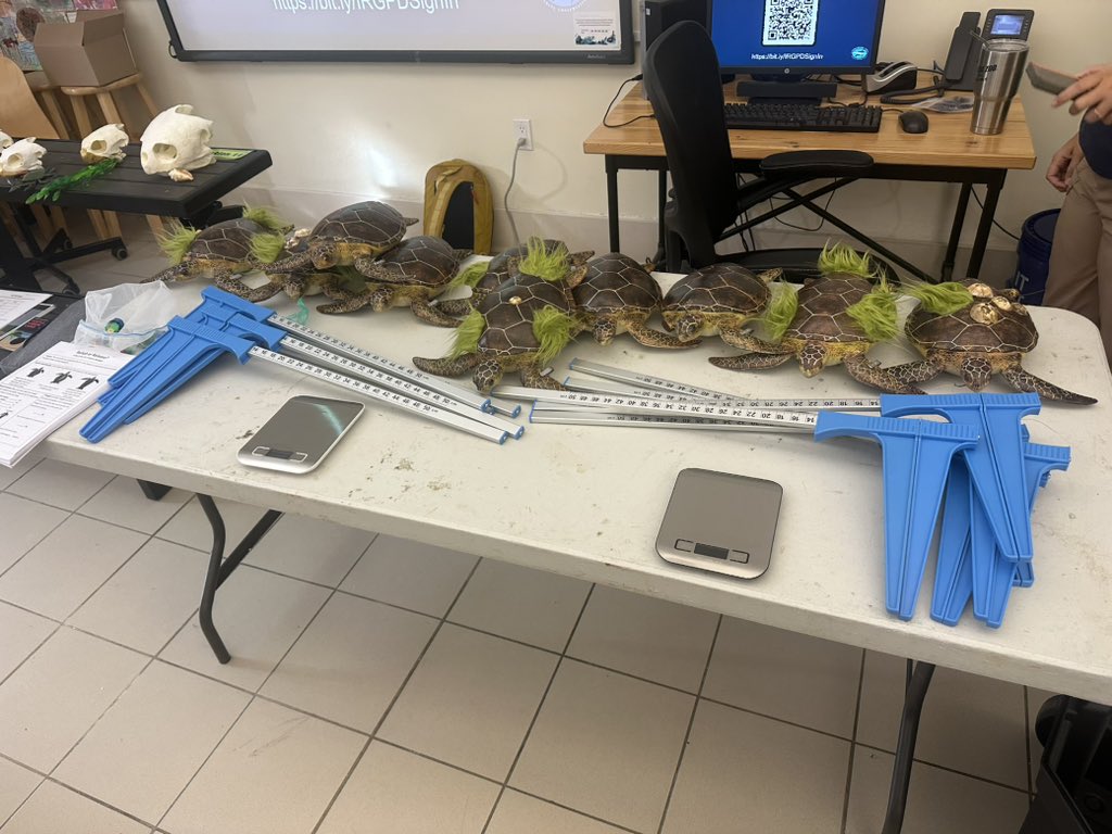 SO excited to finally bring a traveling turtle trunk to my school!! I’ve waited about 2 years 🤩 <a href="/BNCEE_MDCPS/">Biscayne Nature Center Environmental Education</a> <a href="/MDCPSSci/">M-DCPS Science</a> <a href="/MiamiLakesK8/">Miami Lakes K-8</a> <a href="/evergfoundation/">The Everglades Foundation</a>