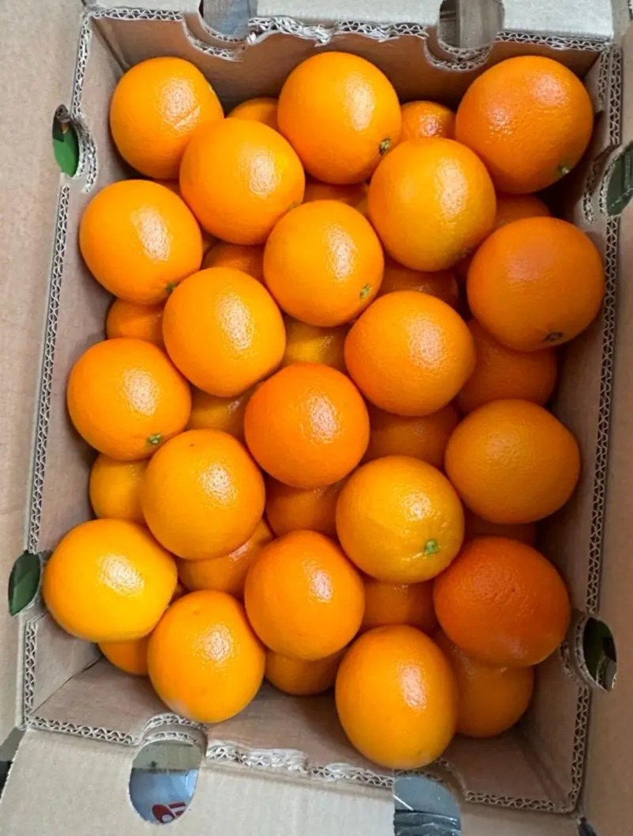 VKU Services Ltd – Trusted Ship Chandler
Freshness delivered to your vessel! 🚢🍎🥬
Contact us today for quality foodstuffs and fresh fruits to keep your crew healthy and satisfied.
📞 09019280866 | ✉️ info@vkuservicesltd.com | 🌐 vkuservicesltd.com