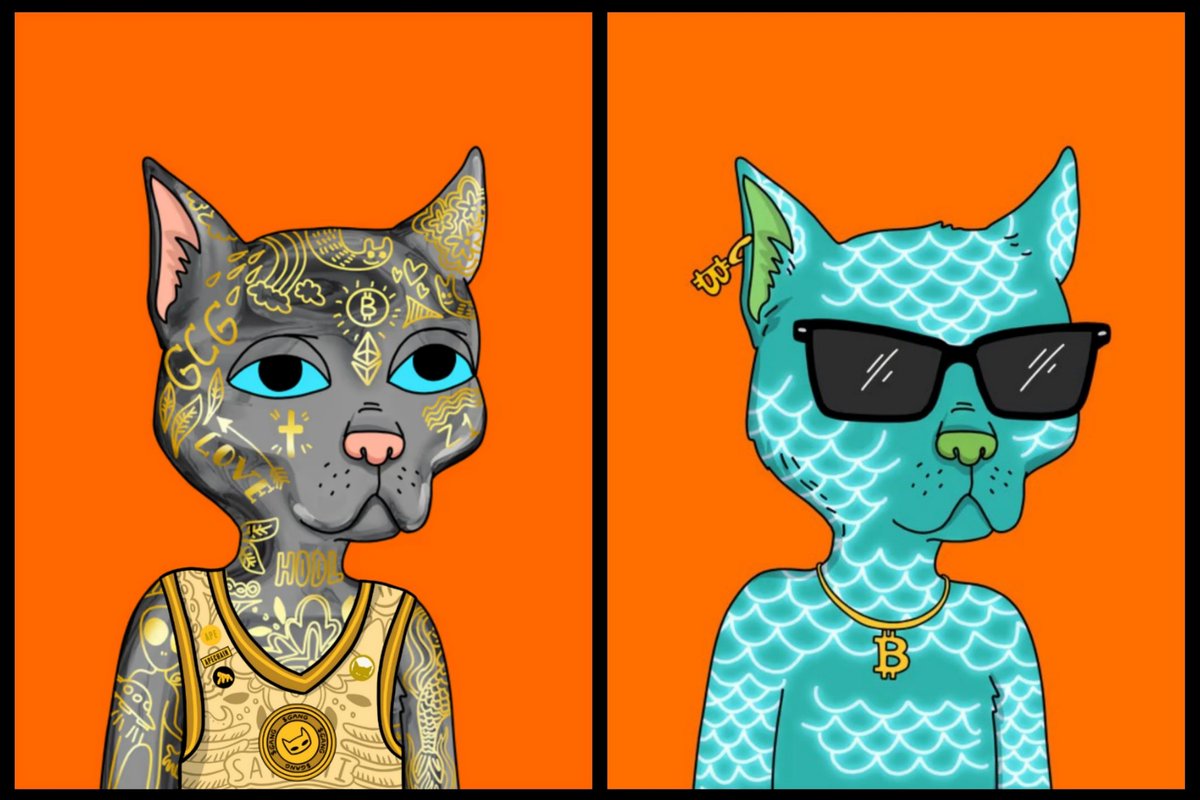 <a href="/opensea/">OpenSea</a> <a href="/Moca_Network/">Mocaverse💼🪐</a> Happy International Cat Day from the <a href="/GutterCatGang/">Gutter Cat Gang</a>