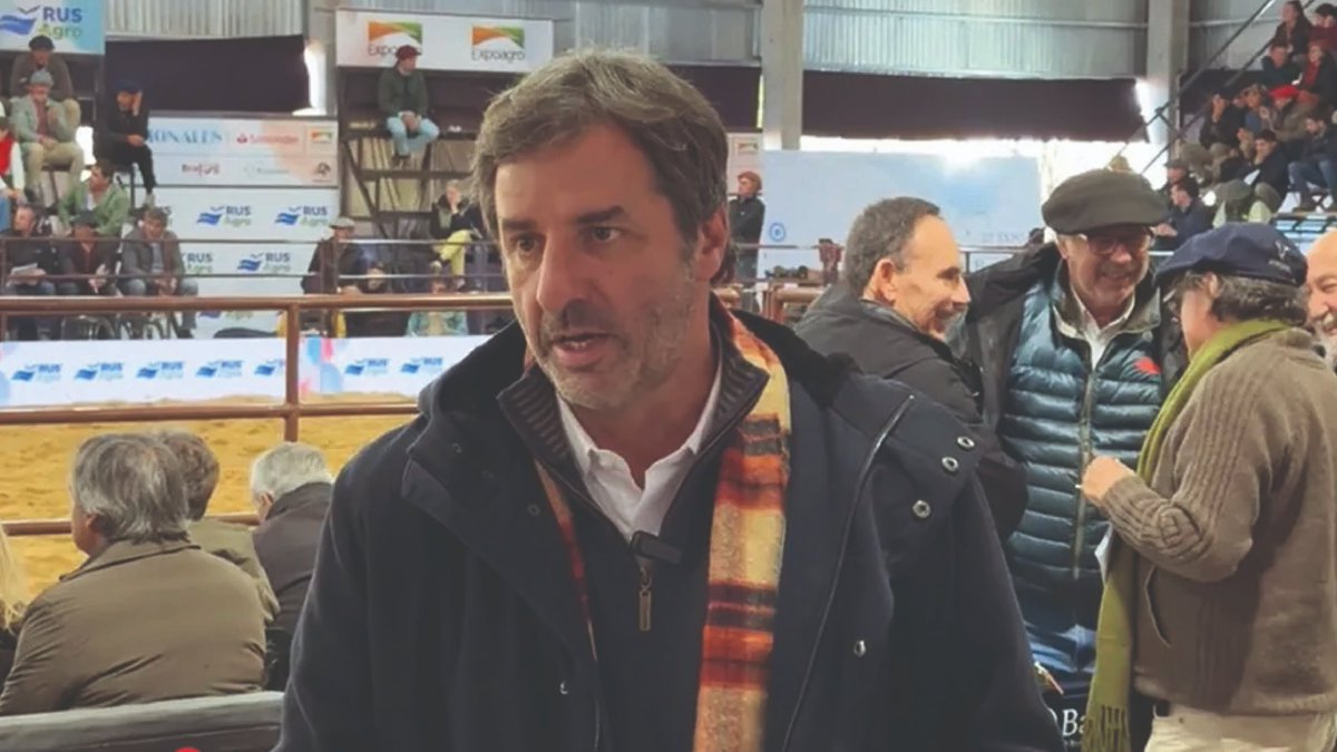 DiarioPuntal's tweet image. ✅ #Brangus: el campeón #riocuartense que reflejó el buen momento de la raza 

👉🏻 El presidente de la Asociación de Criadores de la raza, Mauricio Groppo, y un balance positivo. 

✍🏻 @dalbiancoOk 

🌐 #TranqueraAbierta en Puntal.com.ar