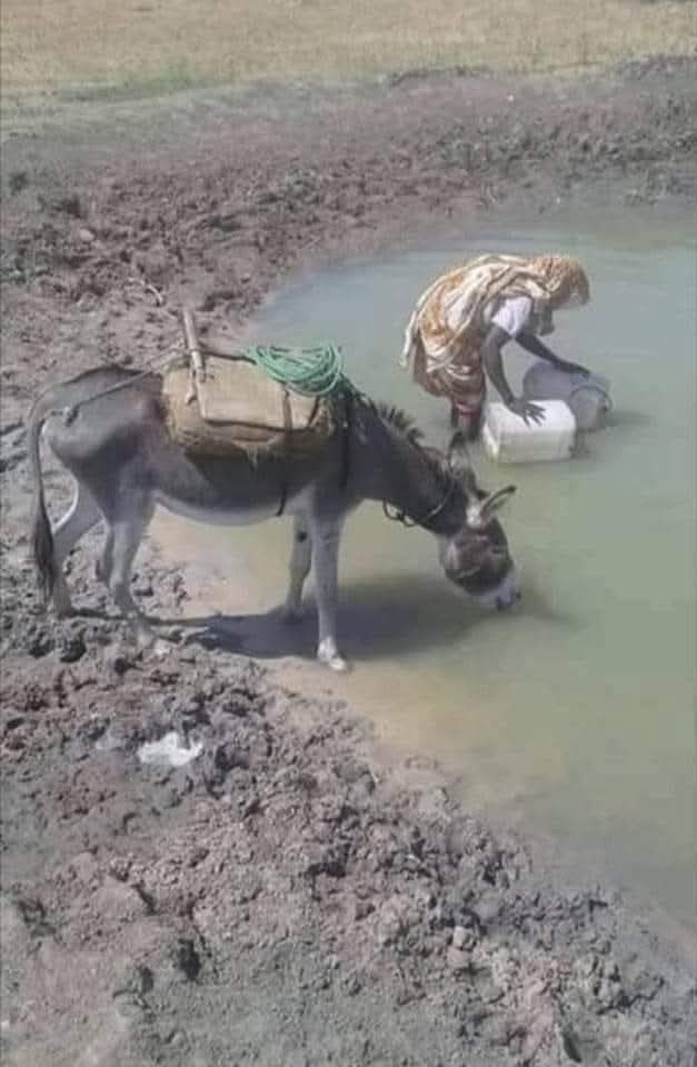 لكم التعليق...