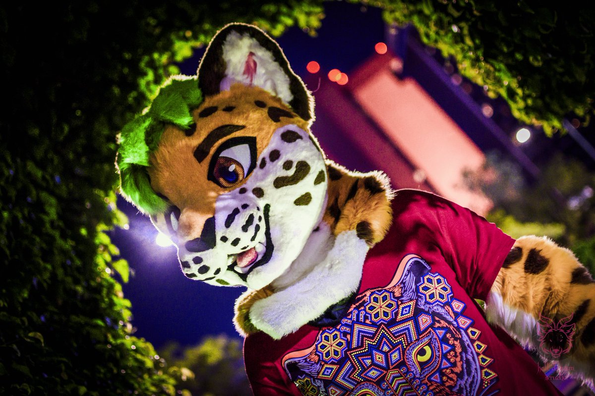 Happy #InternationalCatDay and #FursuitFriday!!

📸: <a href="/MommyShide/">💜🐮 𝕄𝕠𝕠𝕞𝕞𝕪 𝕊𝕙𝕚𝕕𝕖 🐮💜</a>