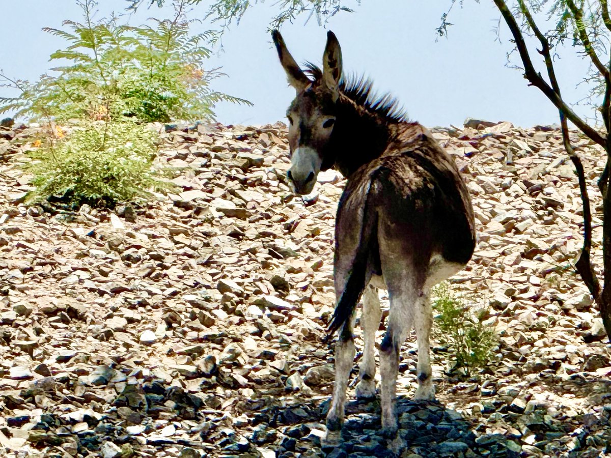 Please vote for my photo in the America’s Favorite Photos competition: americasfavoritephotos.com/v/kchhw4