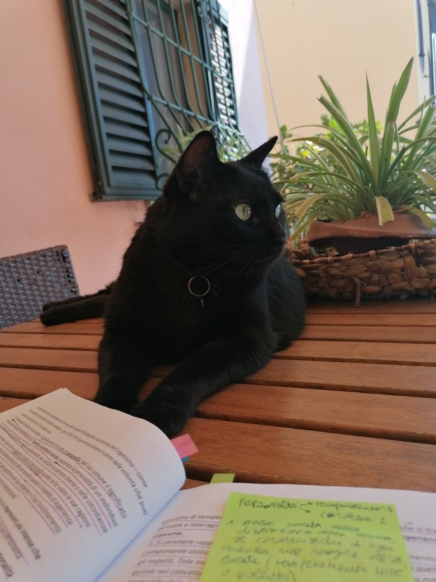 giusti_greta's tweet photo. Ogni giorno è il giorno per celebrare i sovrani felini, dei quali siamo gli amorevoli sudditi
#Giornatainternazionaledelgatto https://t.co/D4Auq3AqkI