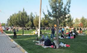 Şanlıurfa Karaköprü Mesire Alanı’nda aile ile oturmak imkânsız hale geldi. Şu an ailemizle oturduğumuz alanda, alkolün dozunu kaçırıp rahatsız edici şekilde oynayanlara maruz kalıyoruz. Bu parkların denetimi, şehrin en büyük sorunlarından biridir+++