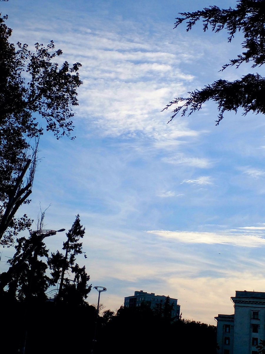 Катерина Галич tweet media