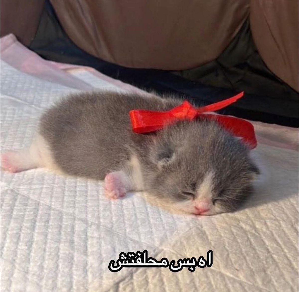 مش قولتي انك استرونج ومان ؟
أنا :