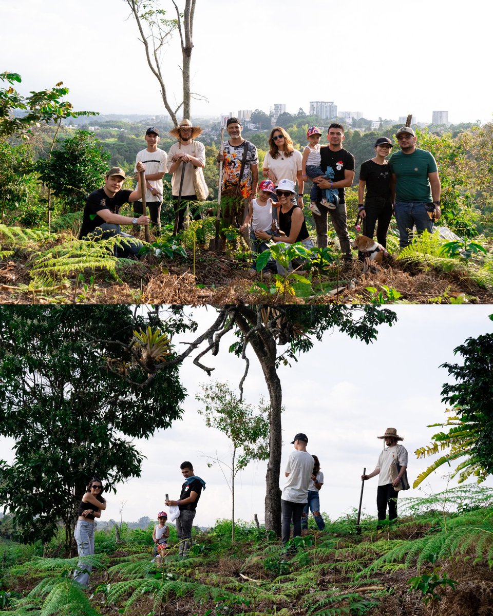 Luis Alejandro Toro Serna tweet media