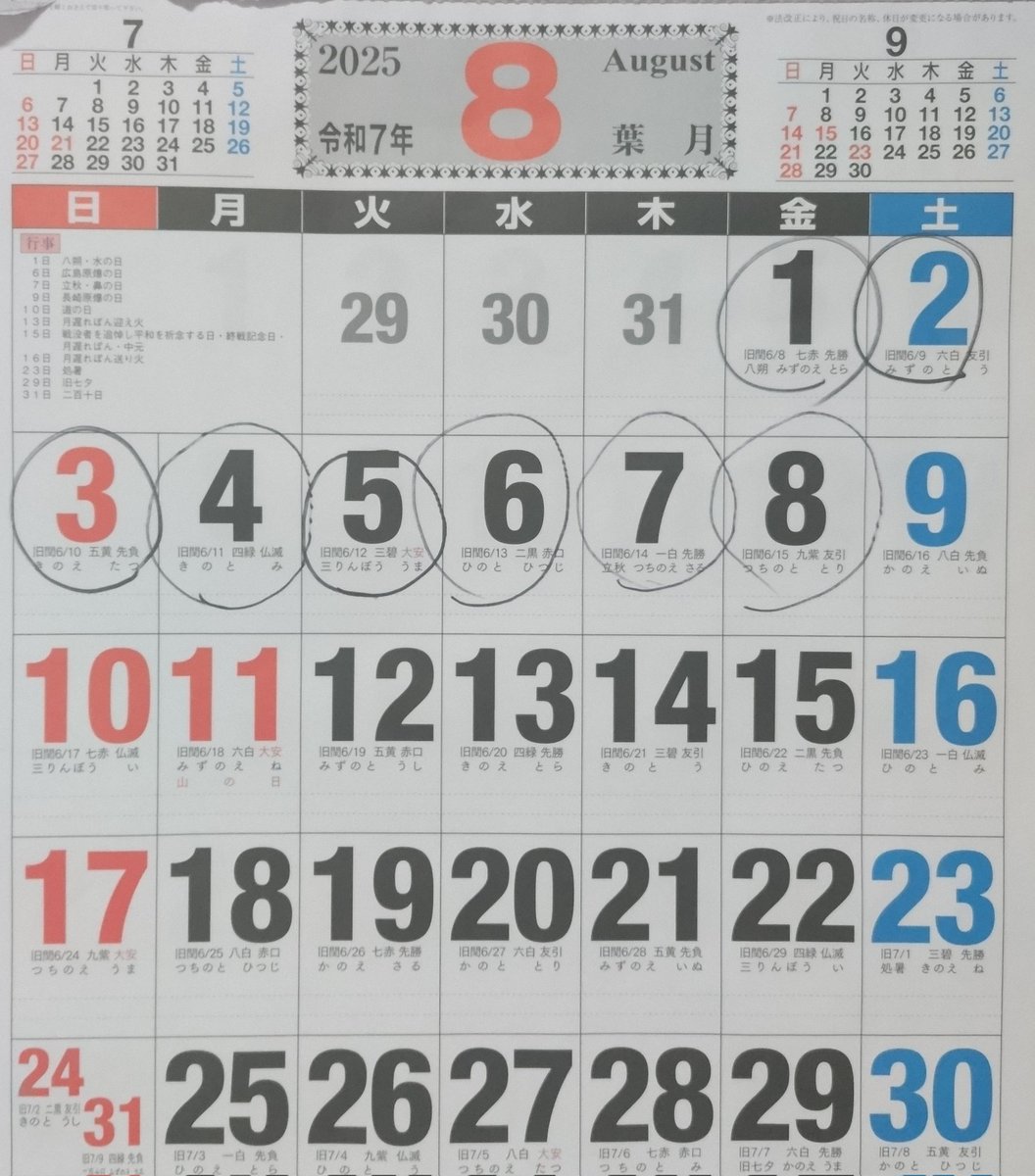 Hitoka553869's tweet image. I haven't paid much attention to it this week, but it's amazing.✨️
I can see my daughter starting to move on her own👧
 I'm so happy✨️

#Training
#Persistenceispower
#summervacation