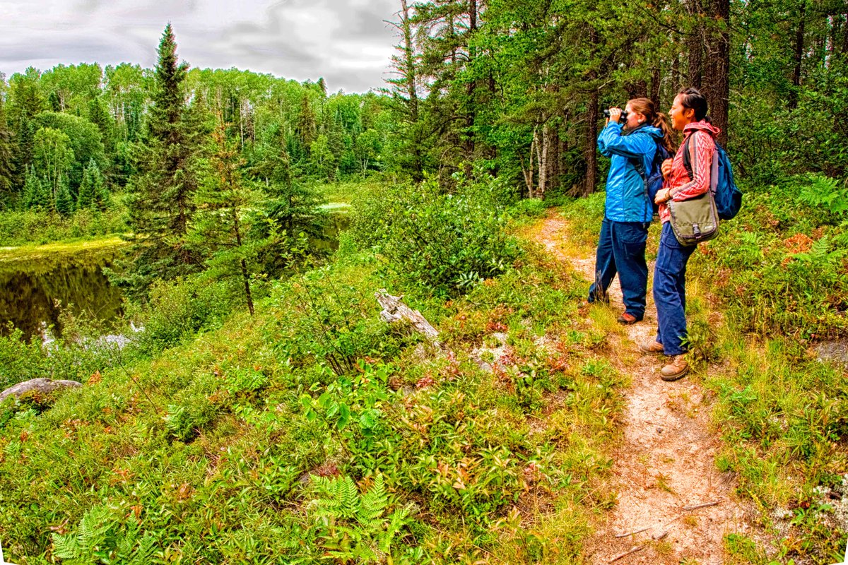 On this Saturday, August 9th join our Park Naturalist for a guided hike on the Kettle Trail while discovering the story behind a kettle lake turning into a bog!

#DiscoverOP #OntarioParksNE #KettleLakesPP #TakeaHikeDay