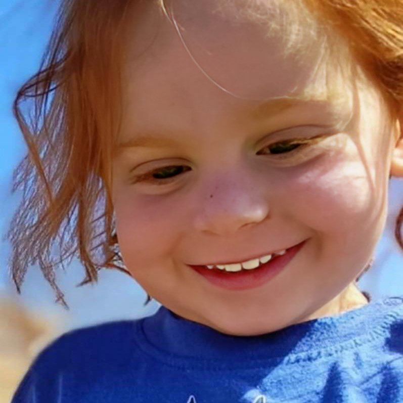 נועה מגיד | Noa magid tweet media