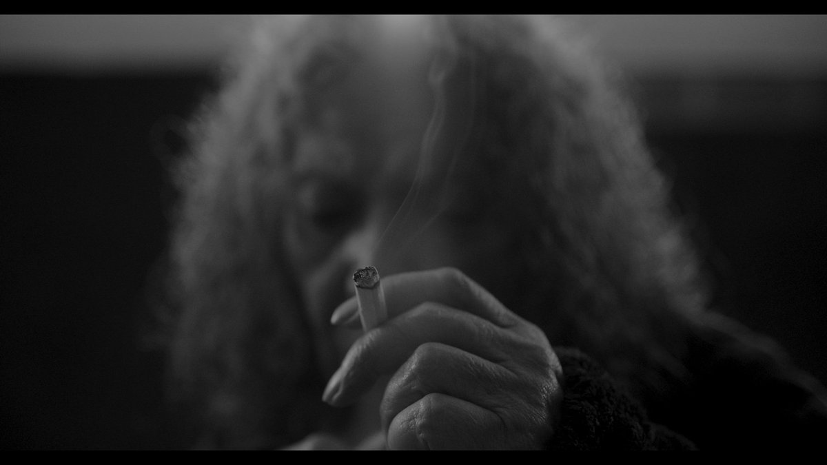 Arturo Garibay / Cine & Editorial tweet media