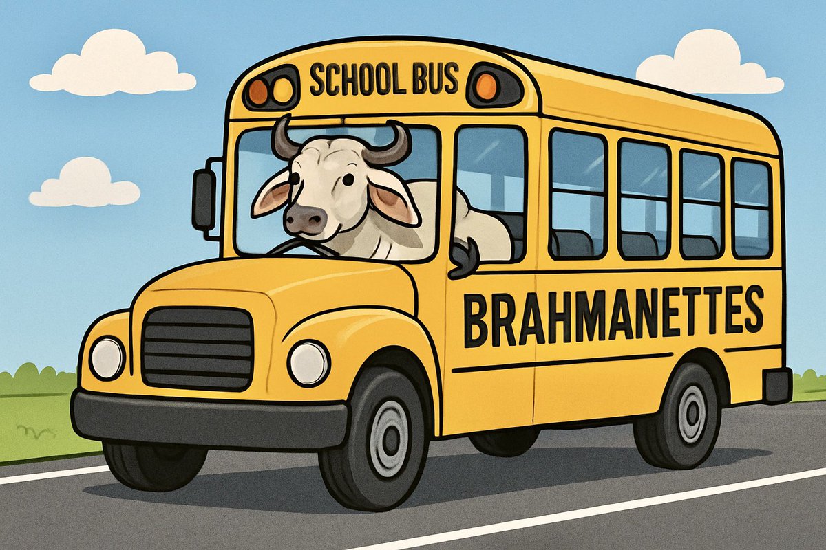 Brahmanettes are on the road again!!!