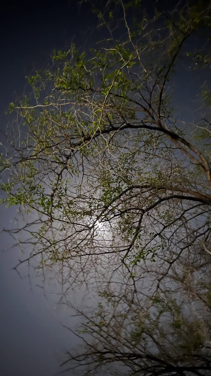 🫧✨🌸🌷💕. (@5hoi__) on Twitter photo 