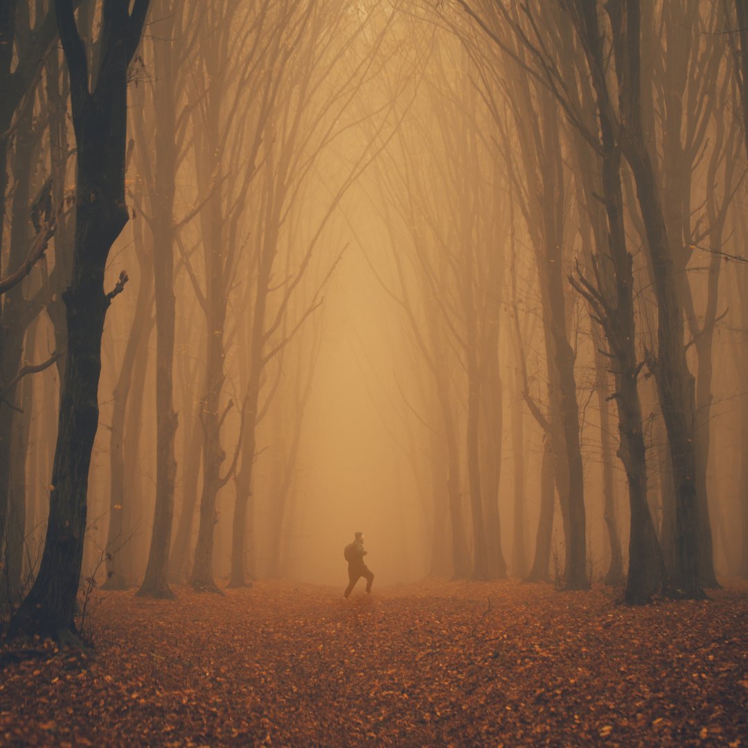 New Blog Post - The Morality of Stories <a href="/OmnibusTheatre/">Omnibus Theatre</a> 

weaverlinemusic.com/blogs/hello/po…