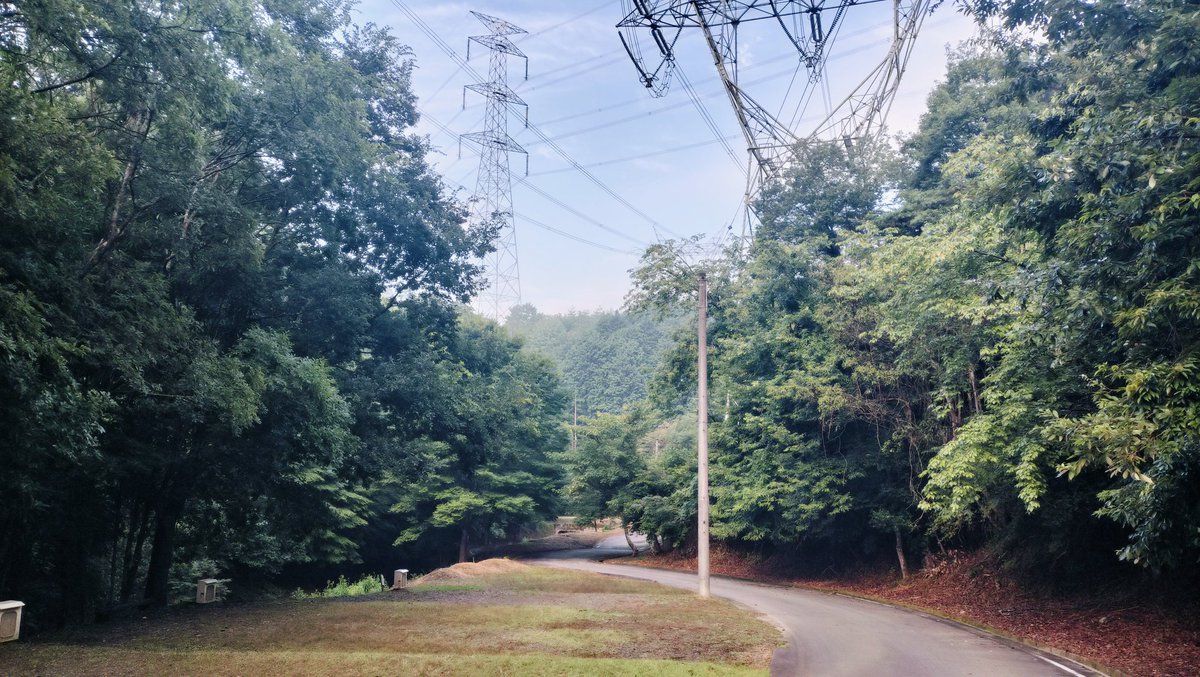 おはようございます。
少し散歩。