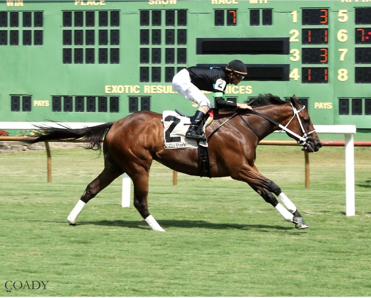 Kevin Kerstein (@horseracingkk) on Twitter photo History was made Friday at <a href="/EllisParkRacing/">Ellis Park Racing & Gaming</a> when Doncho broke a North American and world record for 5 1/2 furlongs on turf in :59.75, eclipsing Cogburn’s record of :59.80 set in 2024. History was made Friday at <a href="/EllisParkRacing/">Ellis Park Racing & Gaming</a> when Doncho broke a North American and world record for 5 1/2 furlongs on turf in :59.75, eclipsing Cogburn’s record of :59.80 set in 2024.
