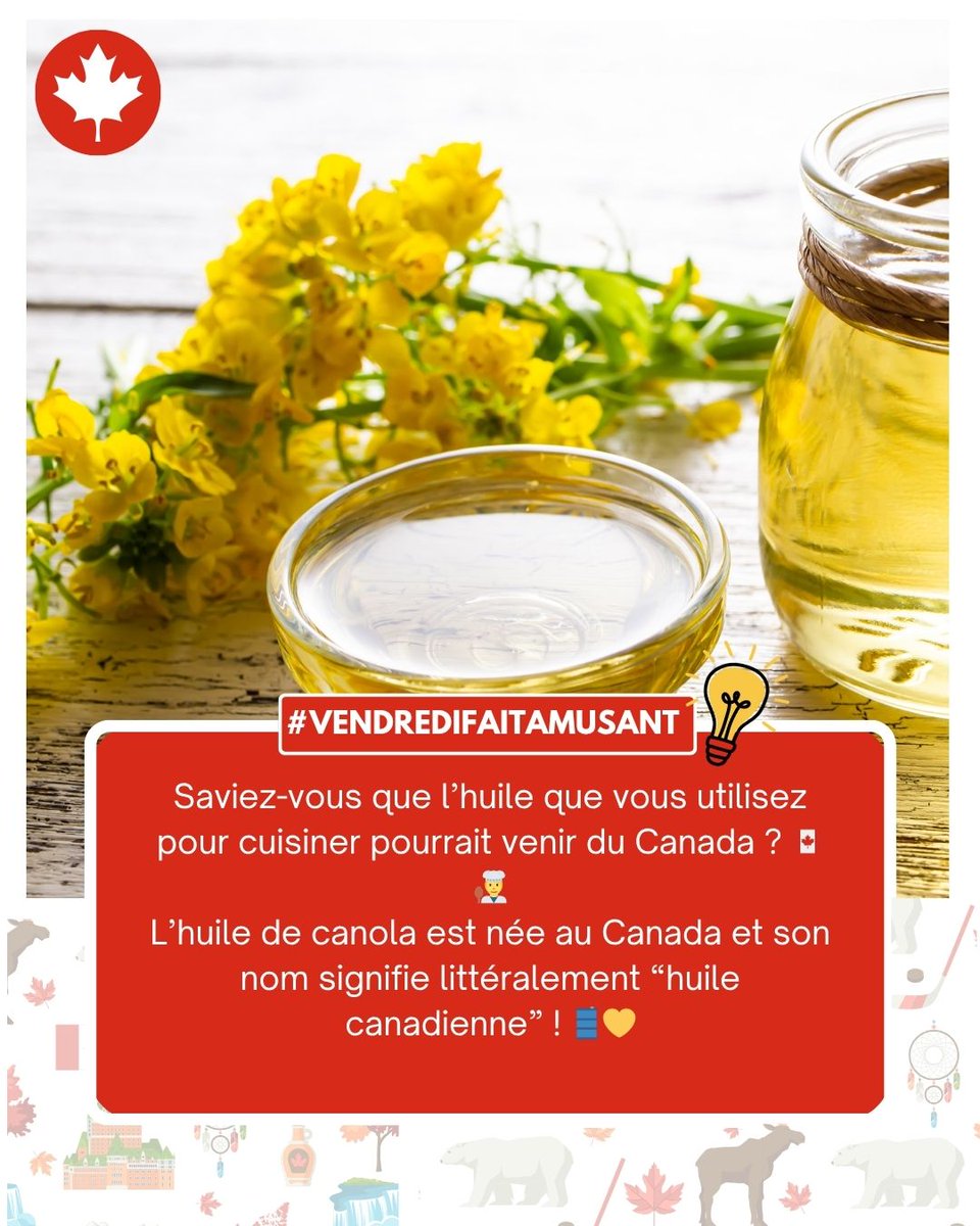 Légère, bonne pour le cœur et canadienne ! 🇨🇦💛
L’huile de canola a un point de fumée élevé et peu de gras saturés.
Parfaite pour une cuisine saine.
#HuileDeCanola #CuisineSaine #CanadaDansVotreCuisine