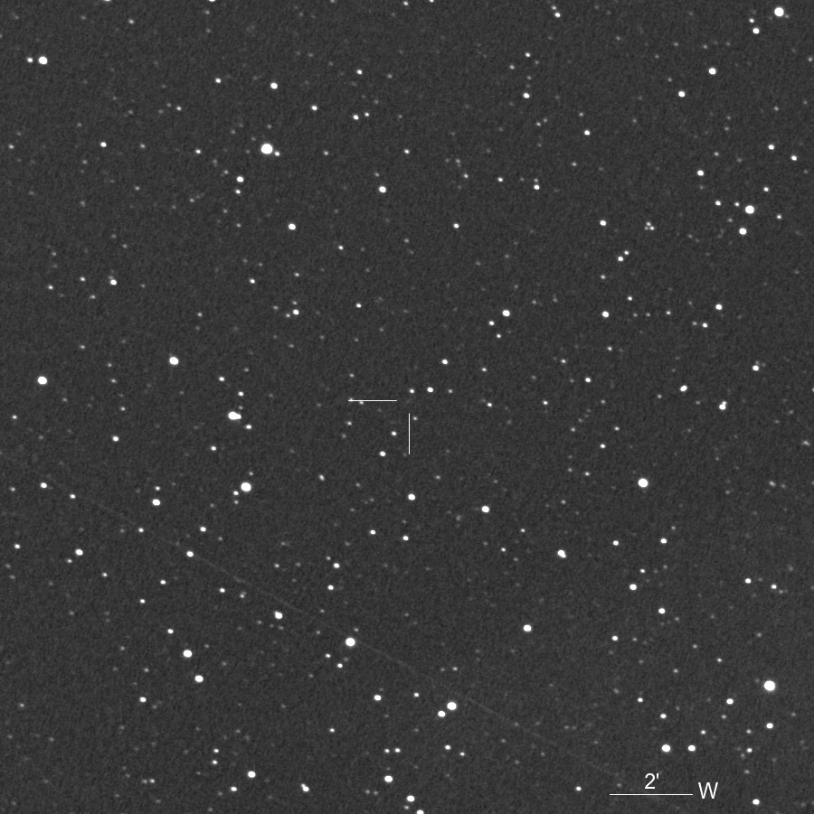 2024-36  PROTEA 民族宇宙人 alpheratz (@hositosorekara) / X