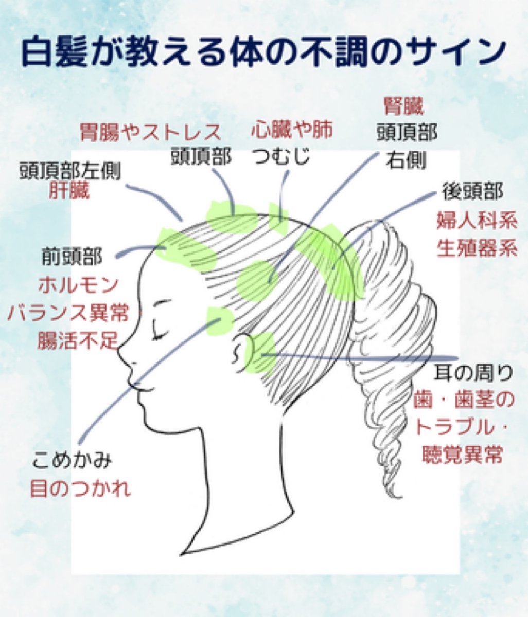 胃腸の弱い私は頭頂部に白髪が多いんですよね