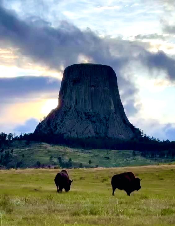 “One does not sell the land people walk on.” 

~ Crazy Horse, (1840-1877) Tašúŋke Witkó,  Oglala Lakota,