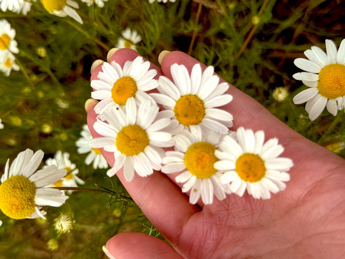 irina9316's tweet photo. Относись к каждой ошибке, как к уроку, который помог тебе стать лучше. https://t.co/c9Q4V3BK2Z