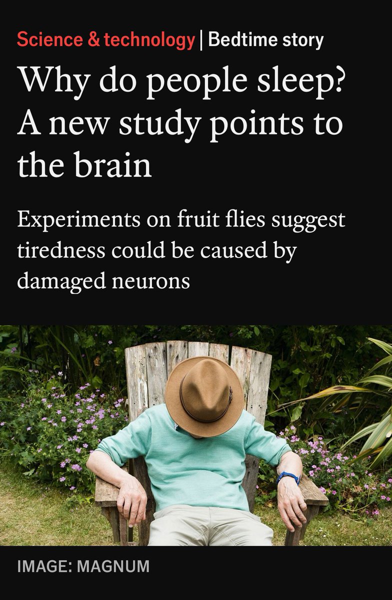 My latest piece in <a href="/TheEconomist/">The Economist</a> explores why we get sleepy  ‧₊˚ ⏾. ⋅