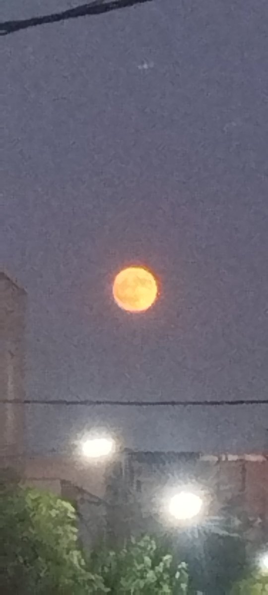 خیلی سعی کردم زیبایی ماهو باهاتون به اشتراک بزارم ولی امان از دوربین بی کیفیت،
پ ن:هرچند بهترین عکس دنیارم تویت کنم شما ایگنور میکنید منم سینه در میارم بالاخره خیلیاتونو زخمی میکنم