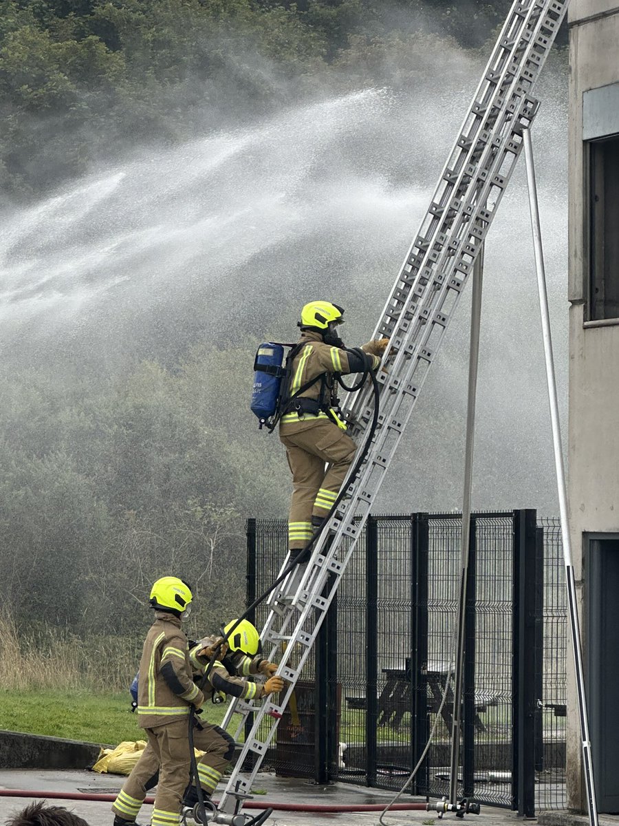 Rob Nolan 🔶 〓〓 tweet media