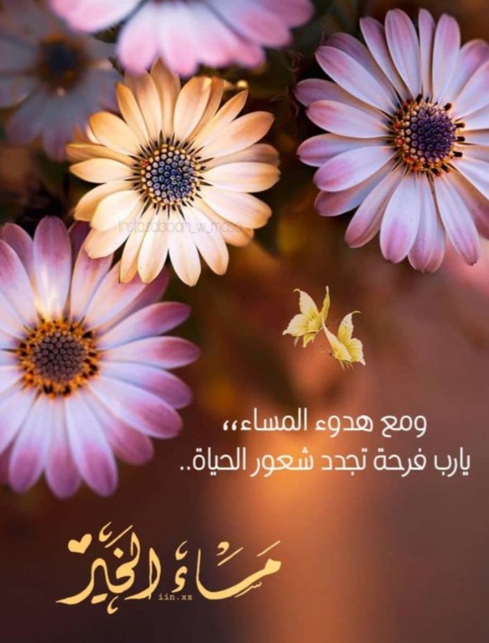 لا شيء يلفت الأنتبــاه سـوى المحبه 
ولين القلب والرحمة وجبر الخواطر  .. 
أشـياء بــسـيطـة قادرة على سـرقة القلوب 🌷