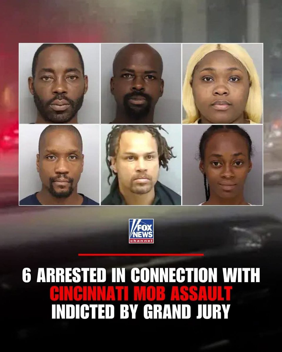 Real_Ames's tweet image. NEW: The six individuals arrested in connection with the viral beating in downtown Cincinnati have been indicted by a grand jury and are facing additional charges.
Thank God! I can tell by the smirks that they thought they would get a slap on the wrist...